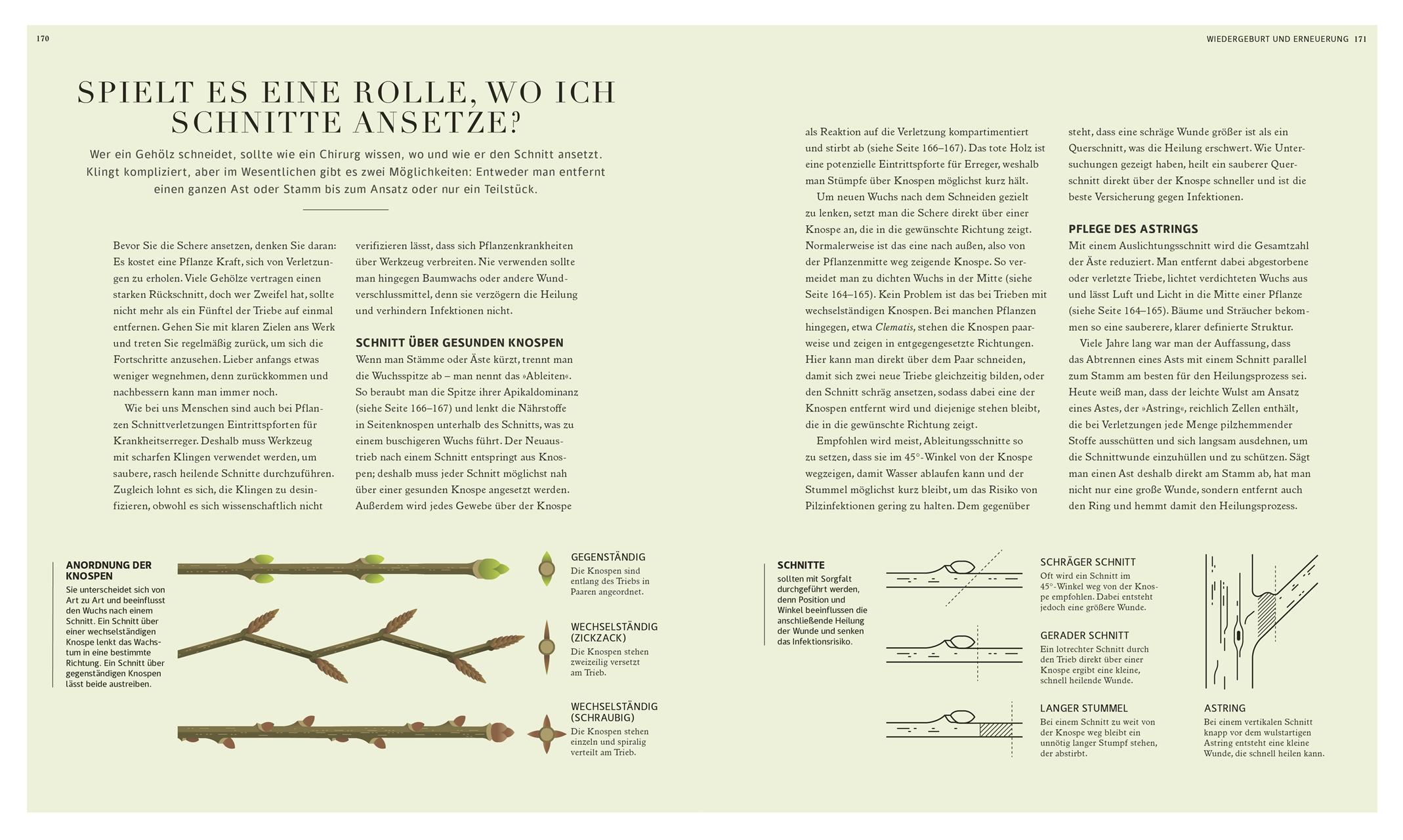 Beispielinhalt (Bild) 100 Fragen und Antworten zum Gärtnern
