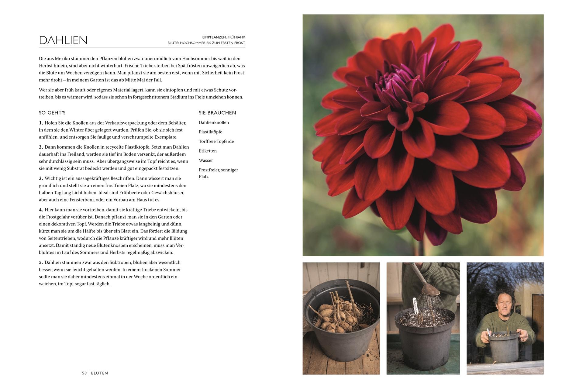 Beispielinhalt (Bild) Das Gartenbuch
