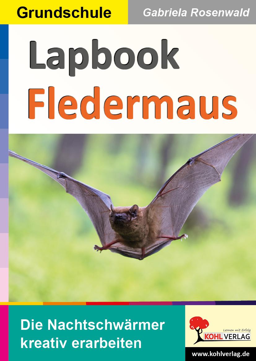 Vorderes Coverbild Lapbook Fledermaus