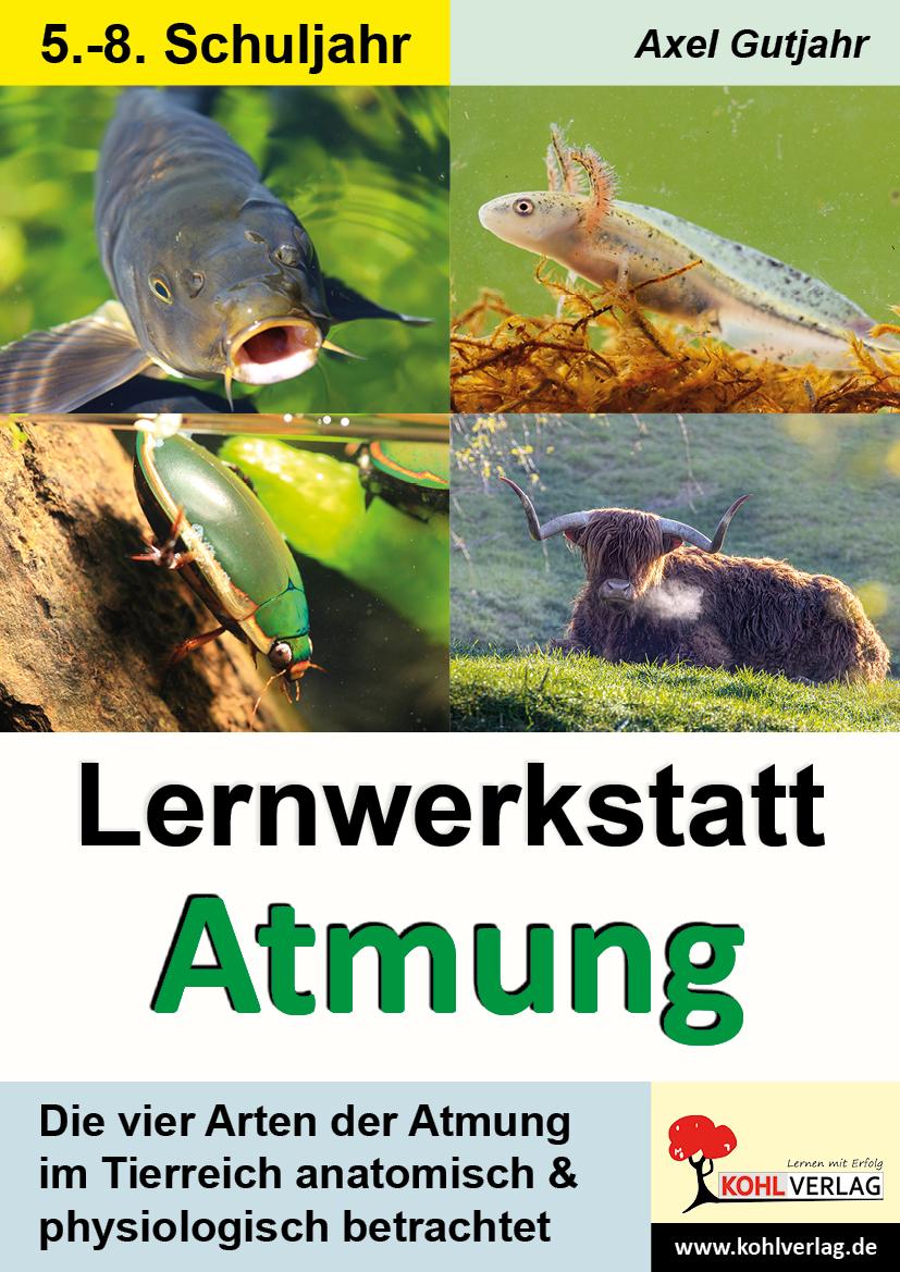 Vorderes Coverbild Lernwerkstatt Atmung / Band 1 (Klasse 5-8)