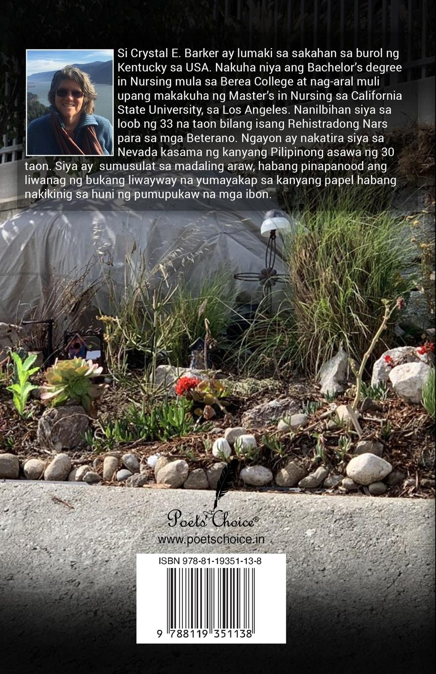 Rückseitencover Homelessness