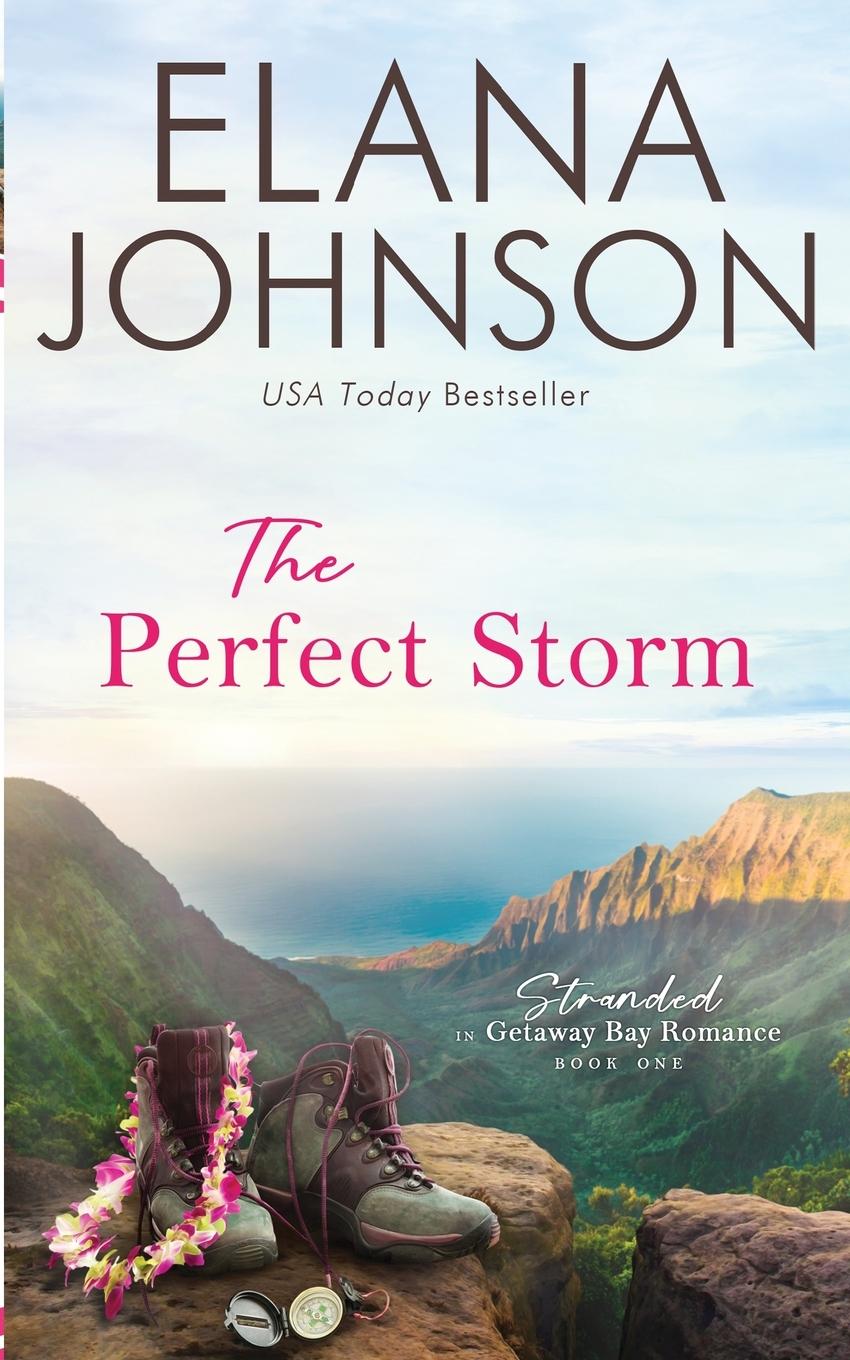 Vorderes Coverbild The Perfect Storm