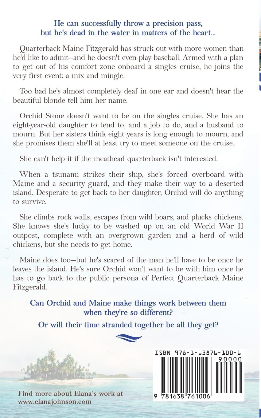 Rückseitencover The Cruising Fiasco