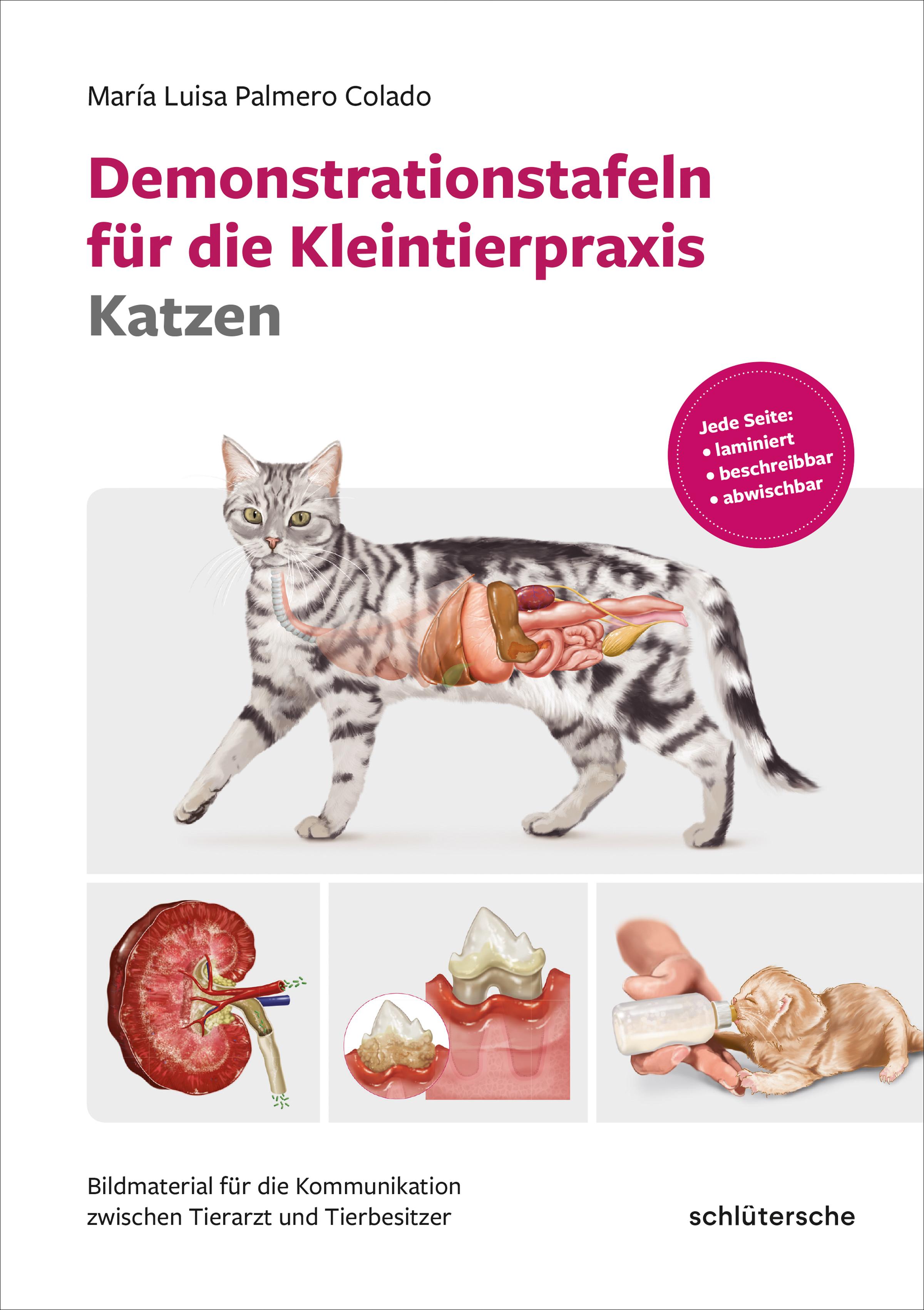 Vorderes Coverbild Demonstrationstafeln für die Kleintierpraxis Katzen