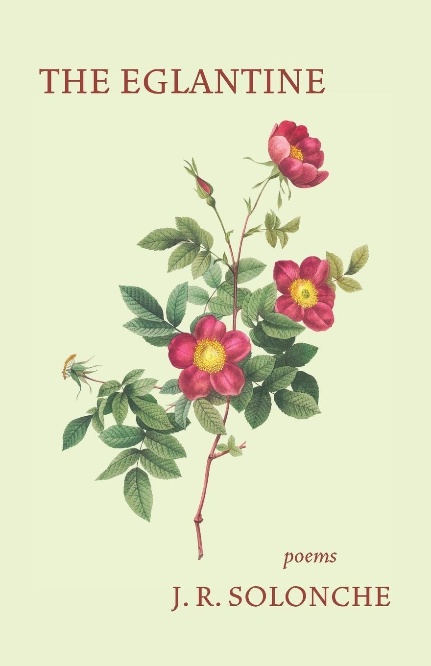 Vorderes Coverbild The Eglantine