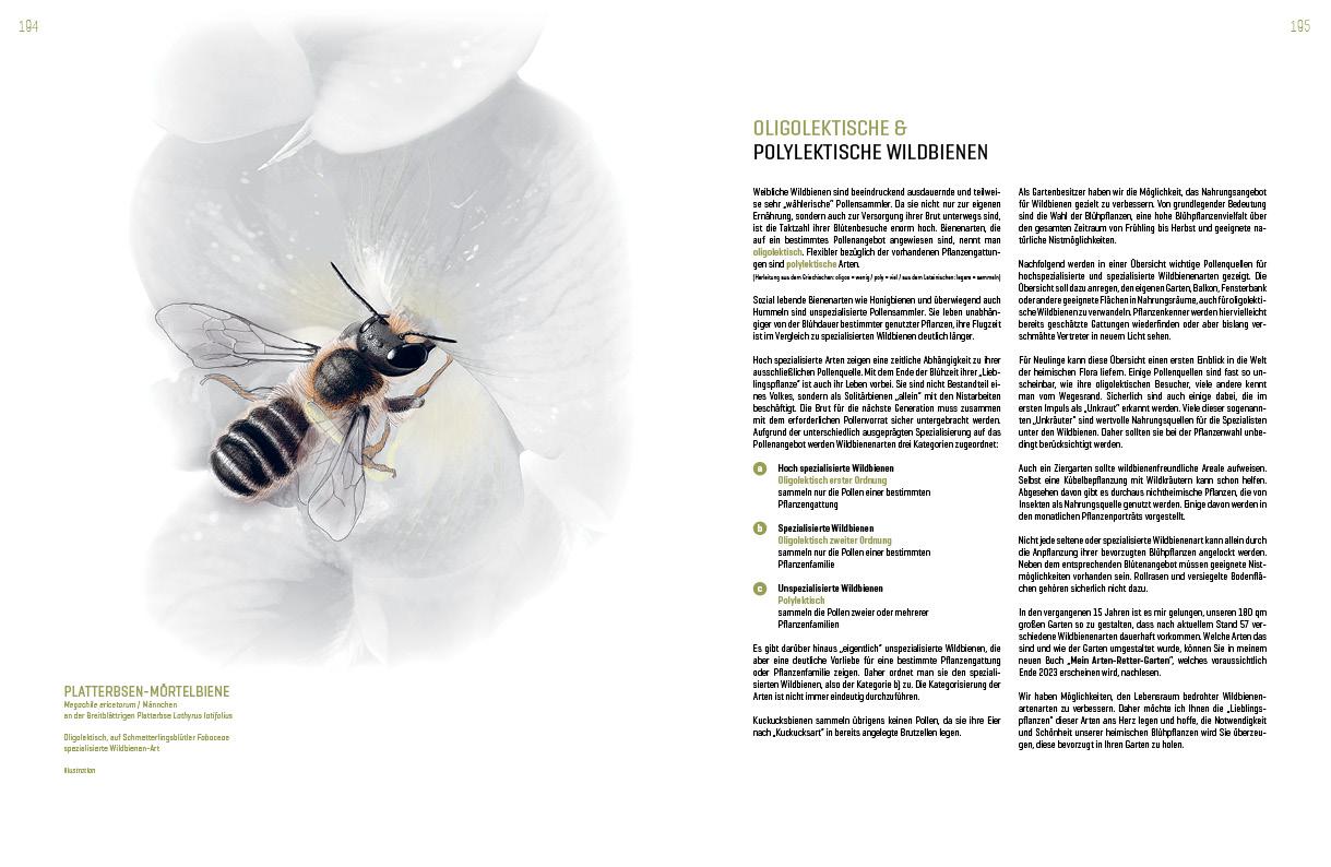 Beispielinhalt (Bild) WILDBIENENHELFER
