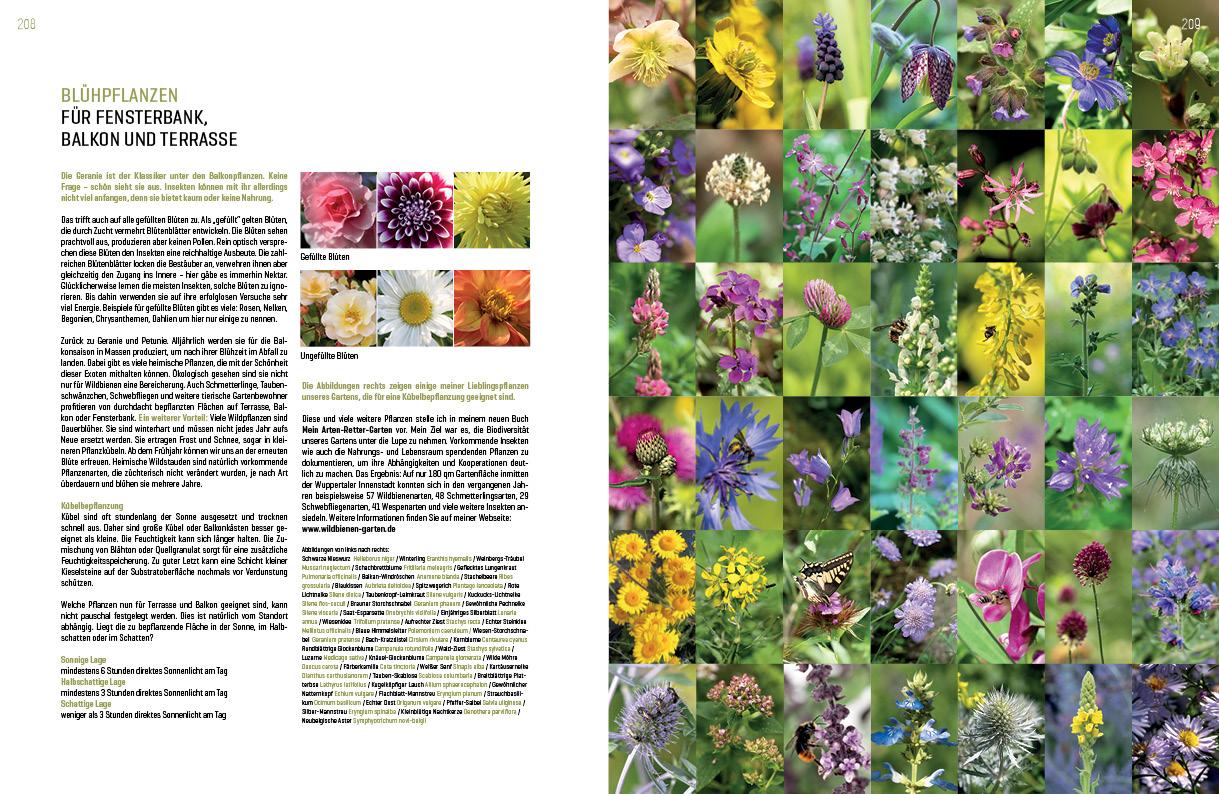 Beispielinhalt (Bild) WILDBIENENHELFER