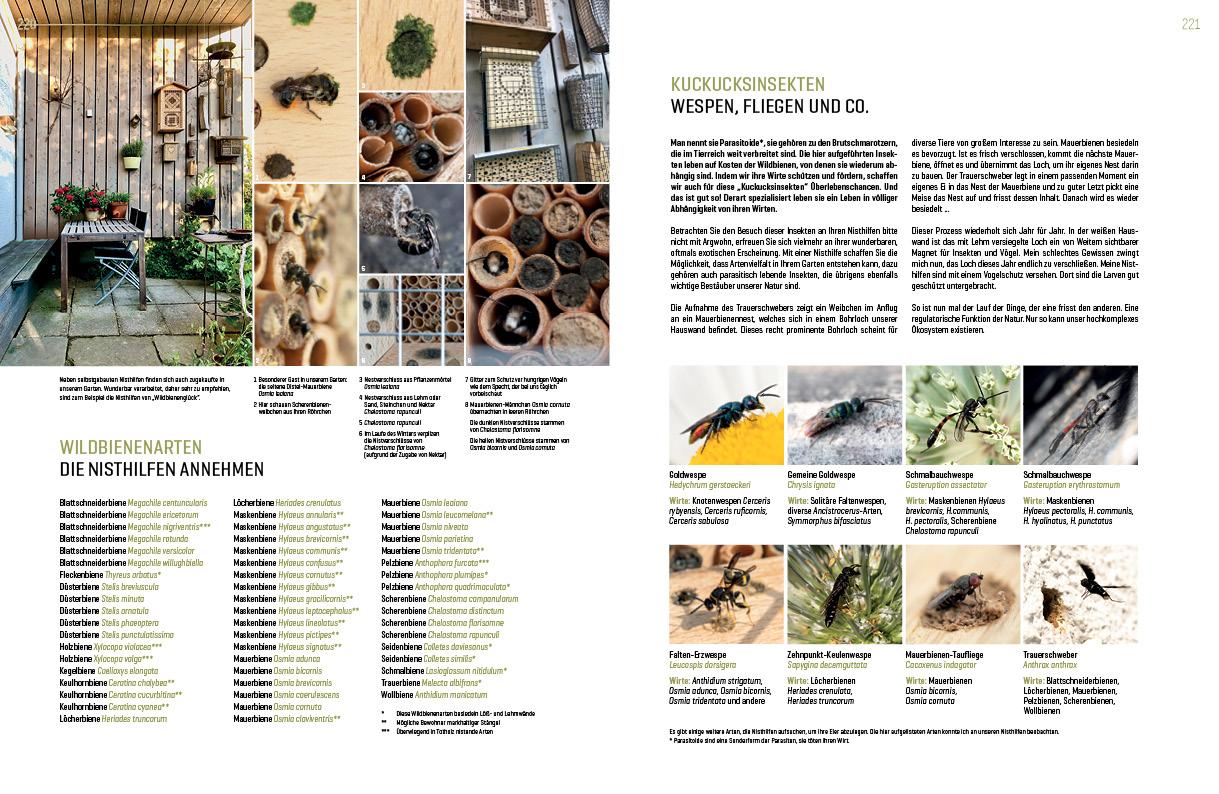 Beispielinhalt (Bild) WILDBIENENHELFER