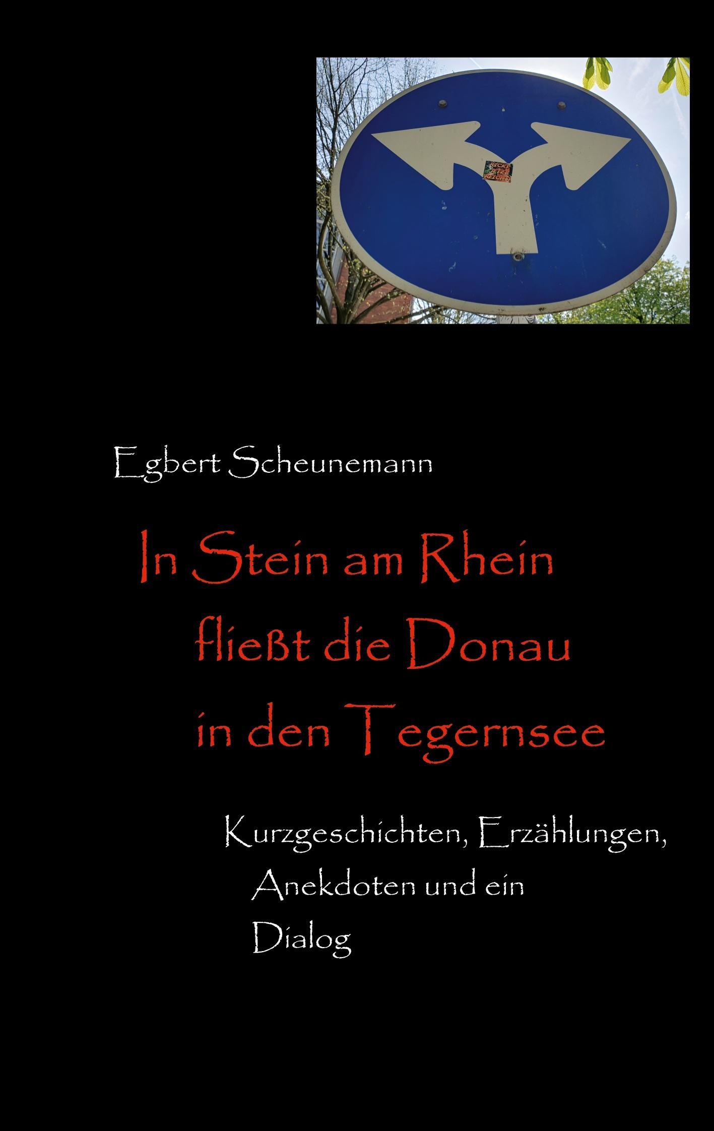 Vorderes Coverbild In Stein am Rhein fließt die Donau in den Tegernsee