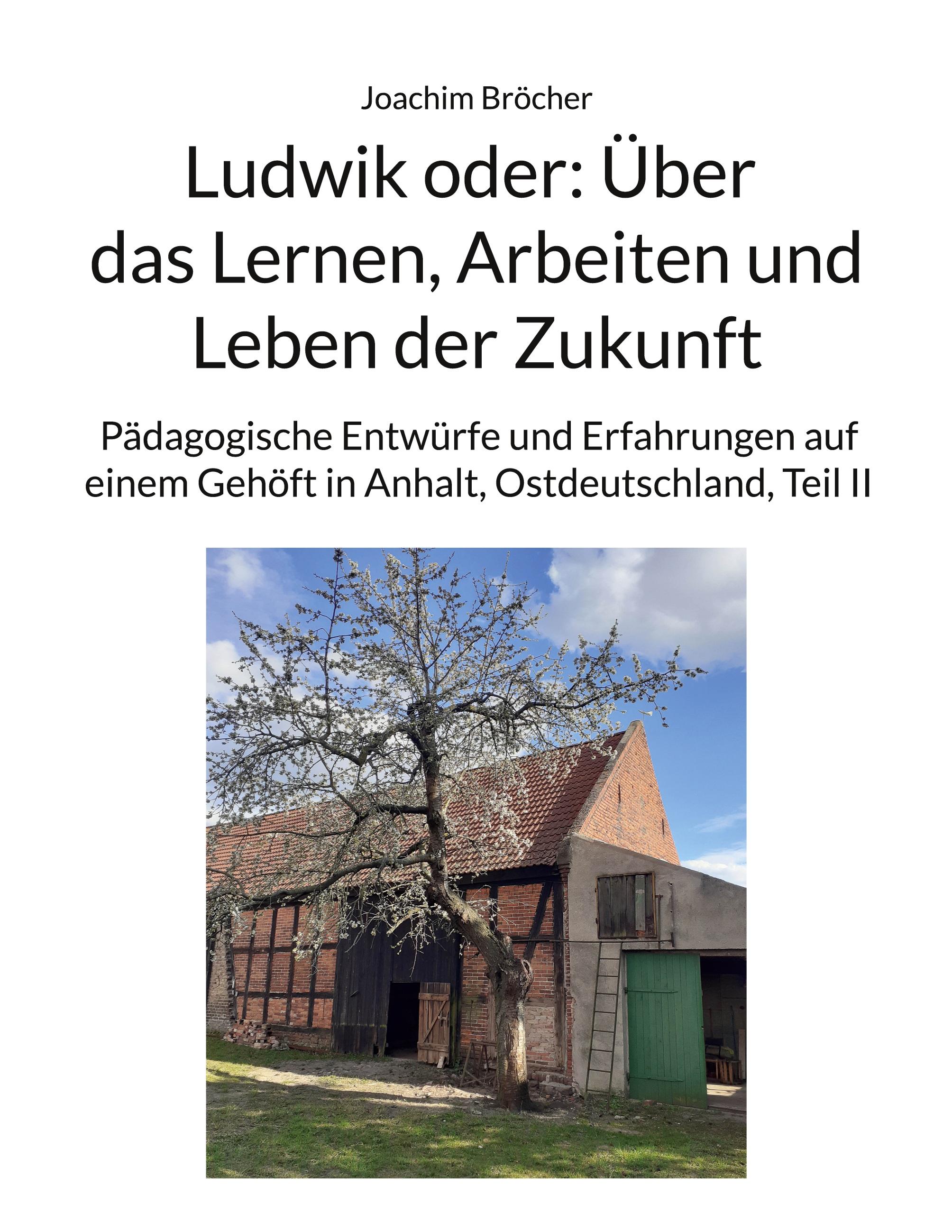 Vorderes Coverbild Ludwik oder: Über das Lernen, Arbeiten und Leben der Zukunft