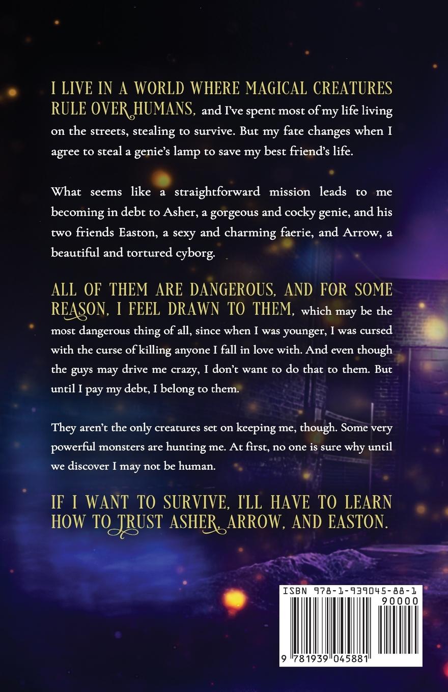 Rückseitencover Chasing Wishes