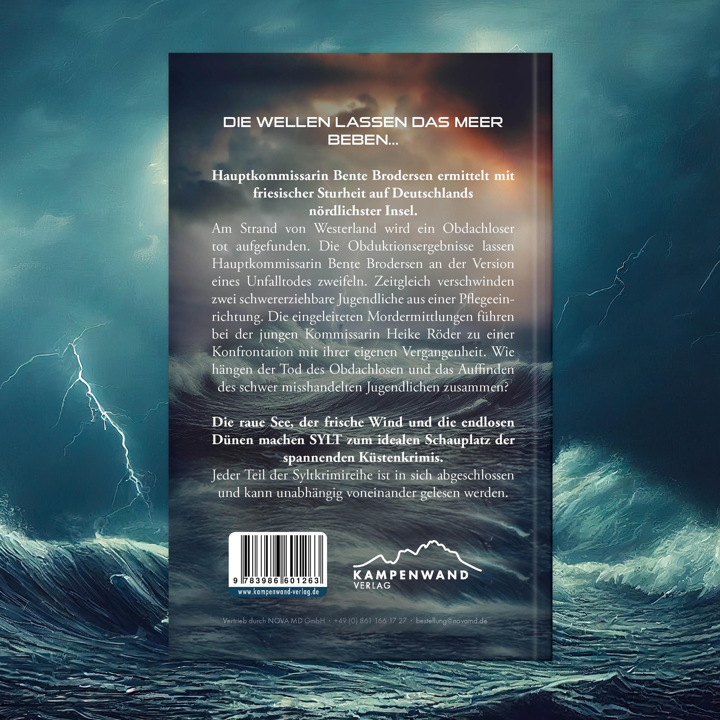 Beispielinhalt (Bild) SYLTKRIMI Wellengrab