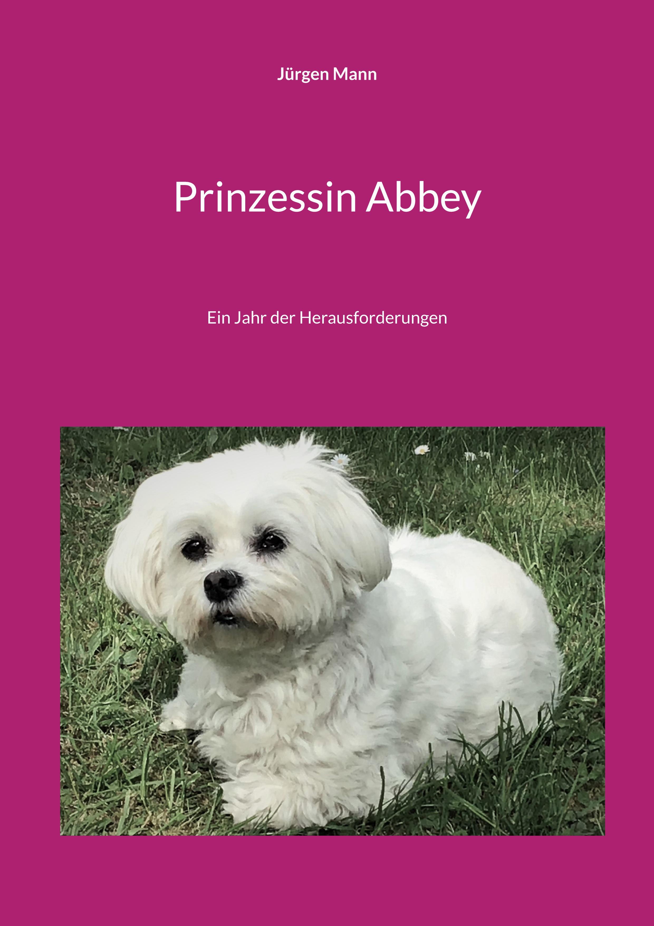 Vorderes Coverbild Prinzessin Abbey