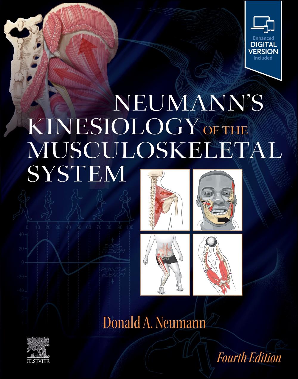 Vorderes Coverbild Neumann's Kinesiology of the Musculoskeletal System