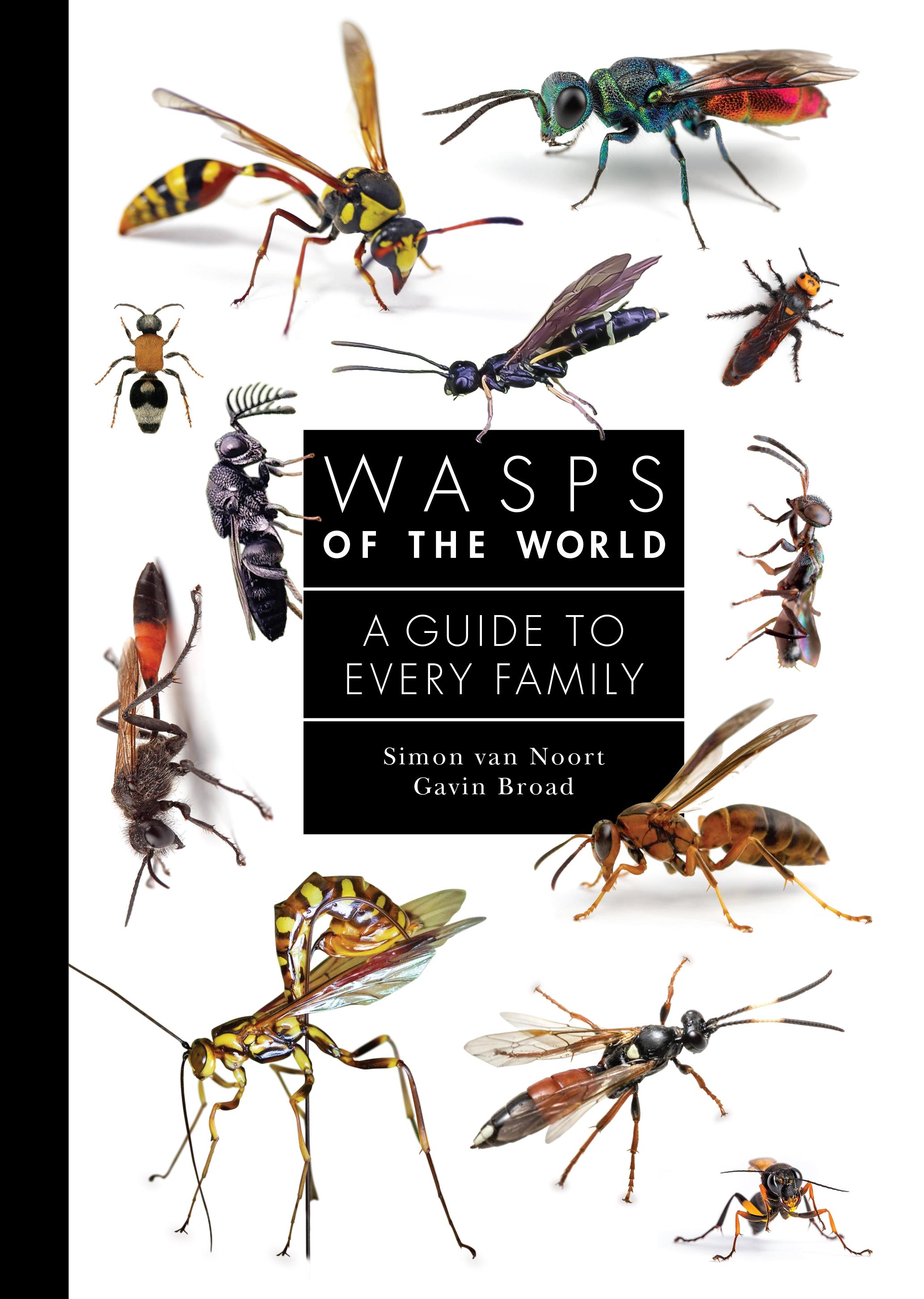 Vorderes Coverbild Wasps of the World