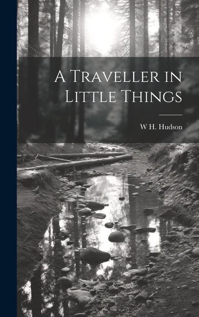 Vorderes Coverbild A Traveller in Little Things