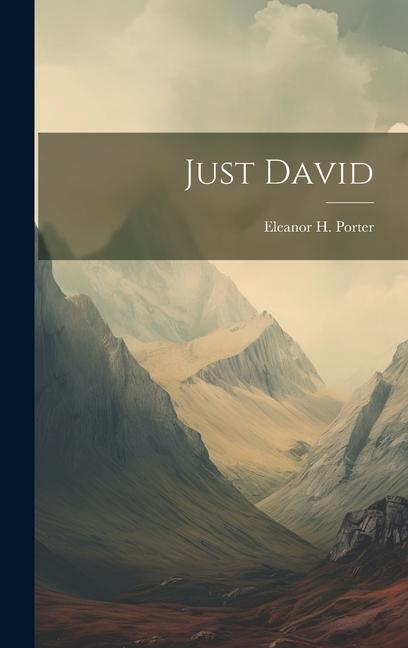 Vorderes Coverbild Just David