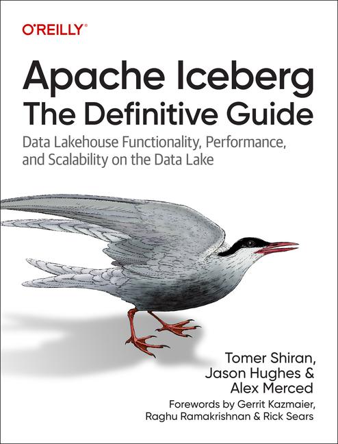 Vorderes Coverbild Apache Iceberg: The Definitive Guide