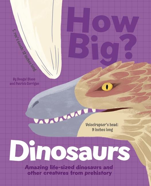 Vorderes Coverbild How Big? Dinosaurs
