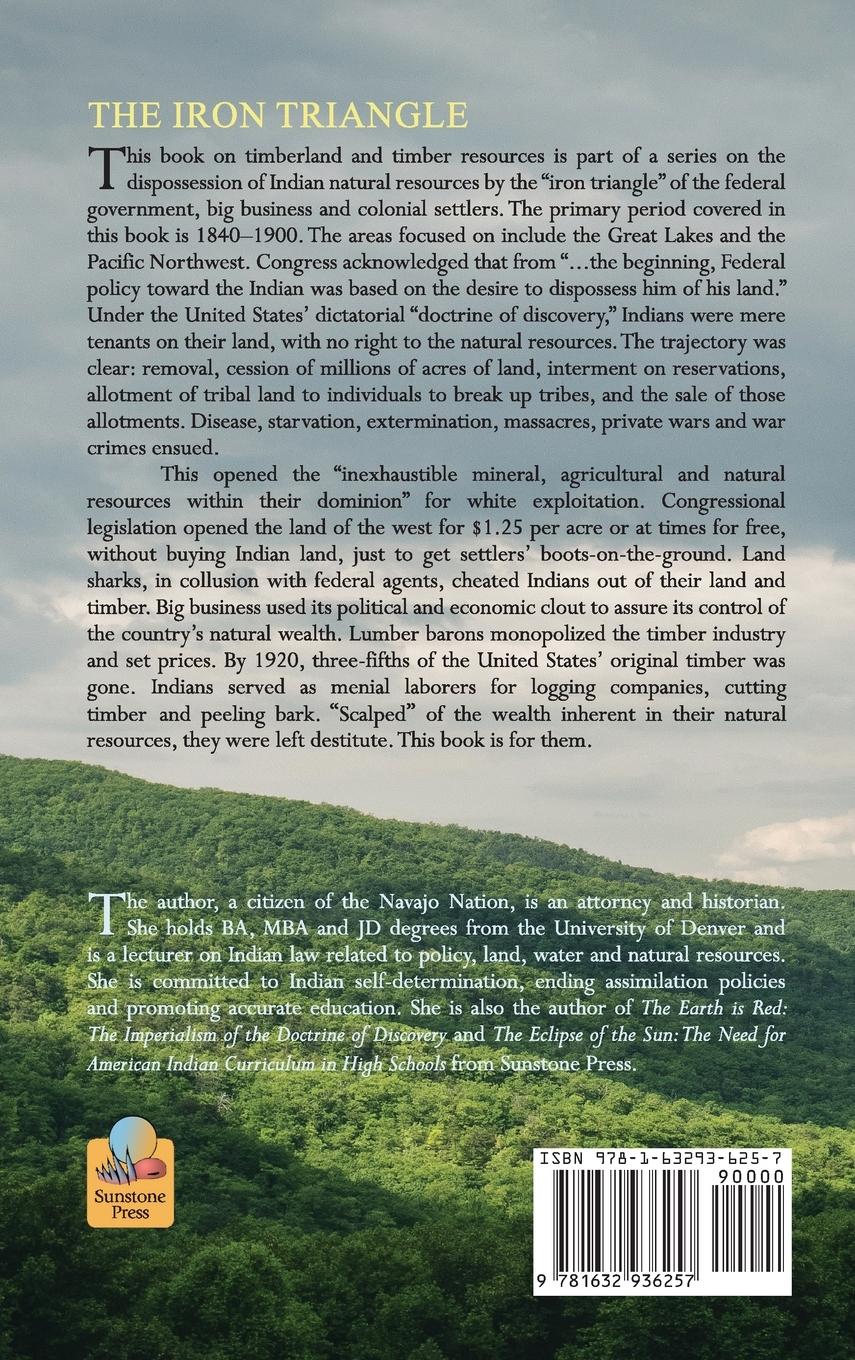 Rückseitencover The Iron Triangle