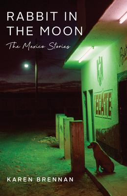 Vorderes Coverbild Rabbit in the Moon
