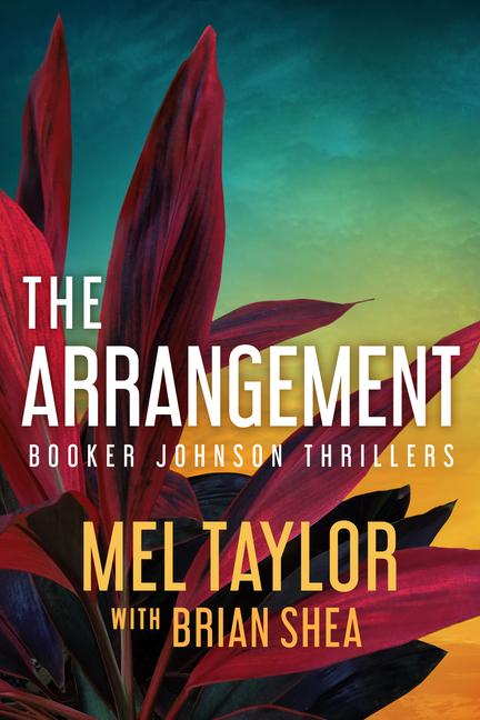Vorderes Coverbild The Arrangement
