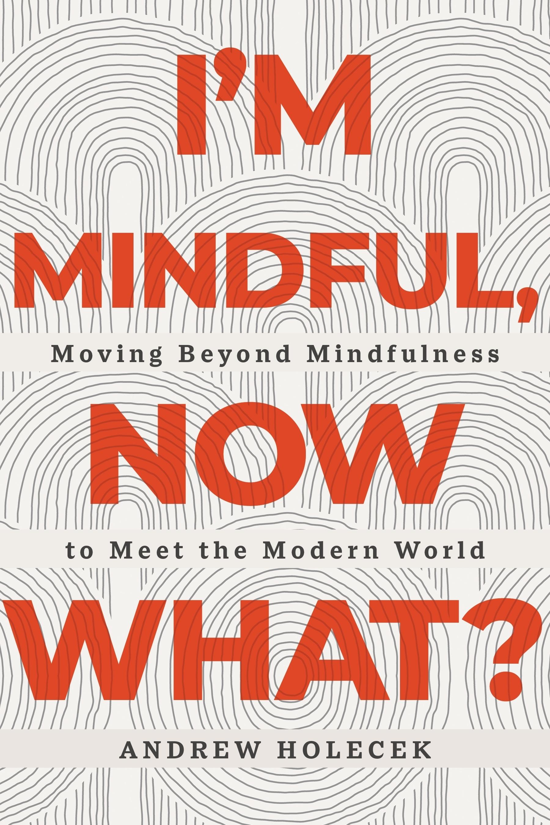 Vorderes Coverbild I'm Mindful, Now What?