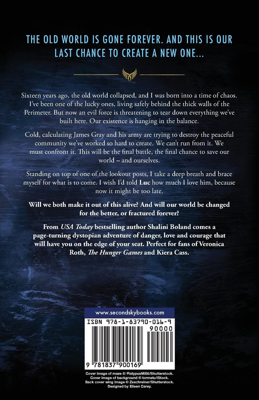 Rückseitencover The Perimeter