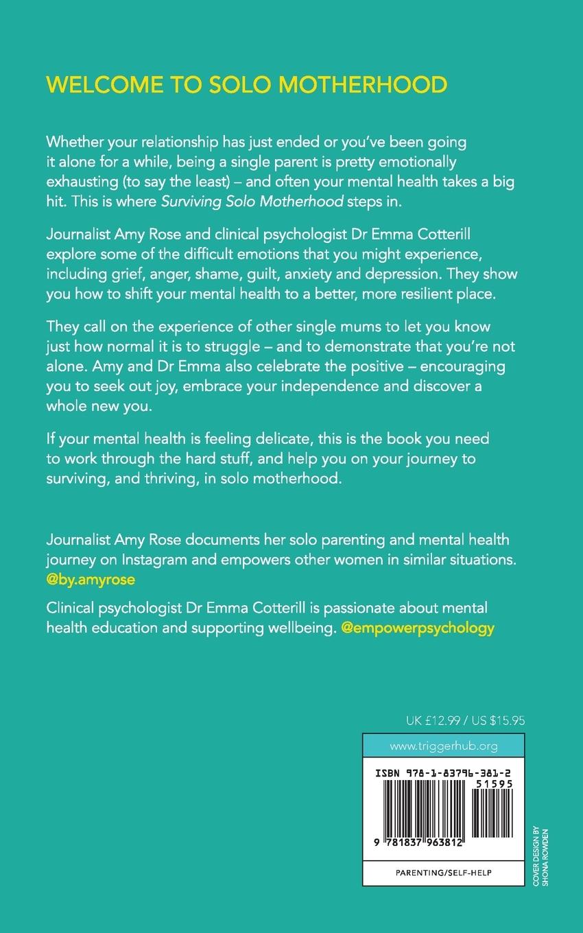 Rückseitencover Surviving Solo Motherhood