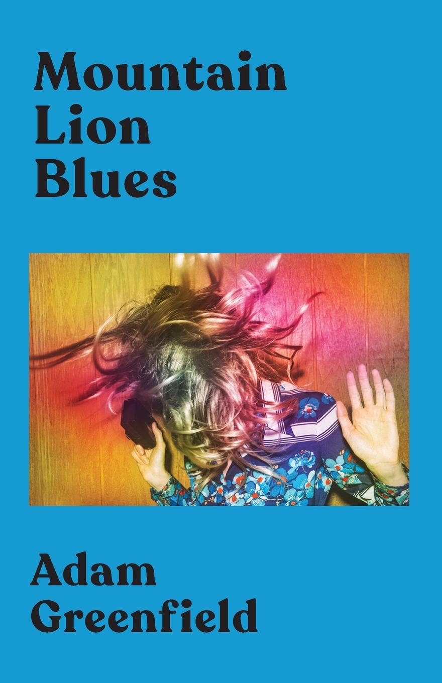 Vorderes Coverbild Mountain Lion Blues
