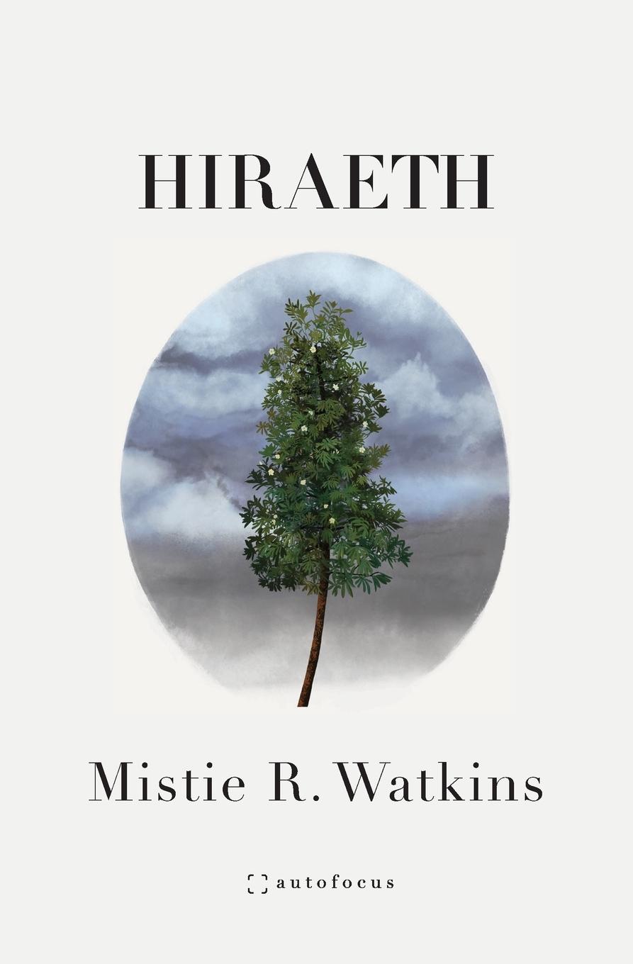 Vorderes Coverbild Hiraeth