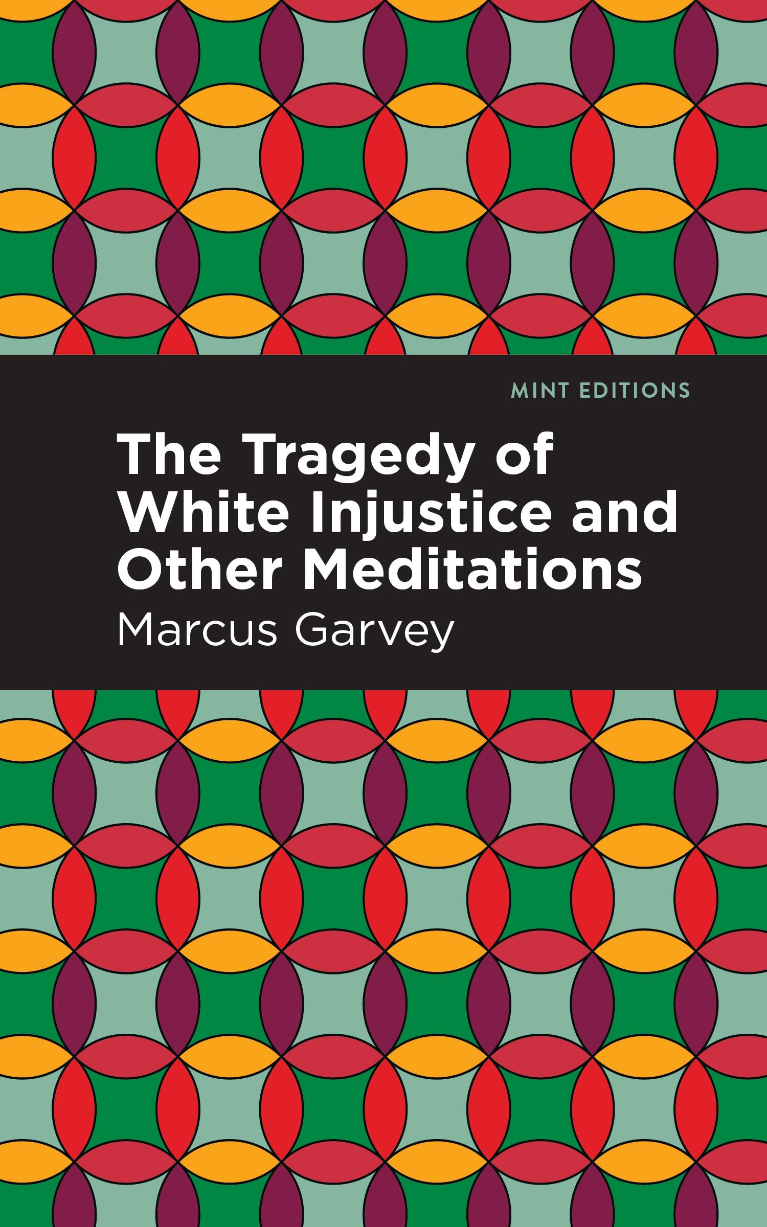 Vorderes Coverbild The Tragedy of White Injustice and Other Meditations