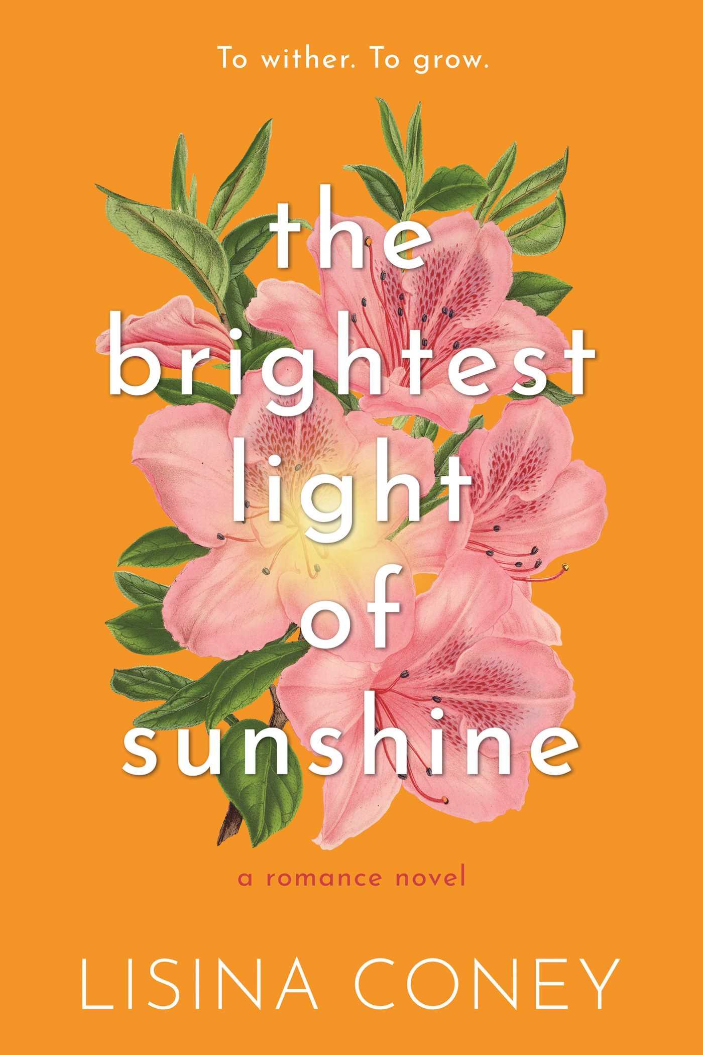 Vorderes Coverbild Brightest Light of Sunshine