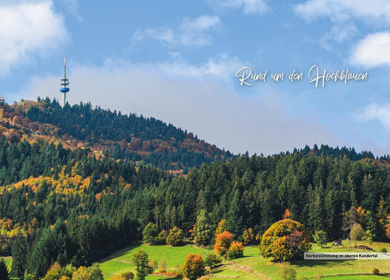 Beispielinhalt (Bild) Schwarzwald - Der Süden - HeimatMomente