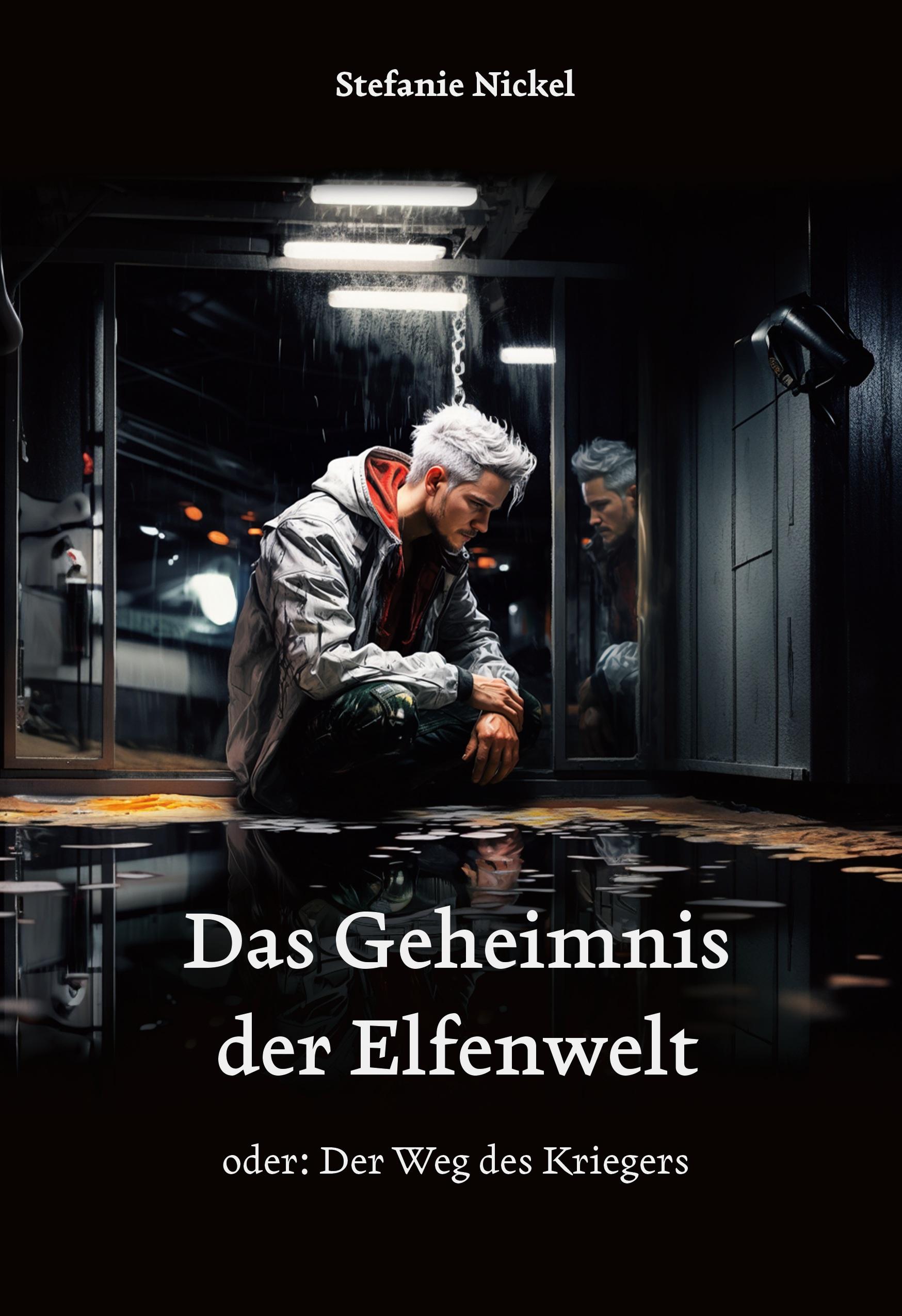Vorderes Coverbild Das Geheimnis der Elfenwelt