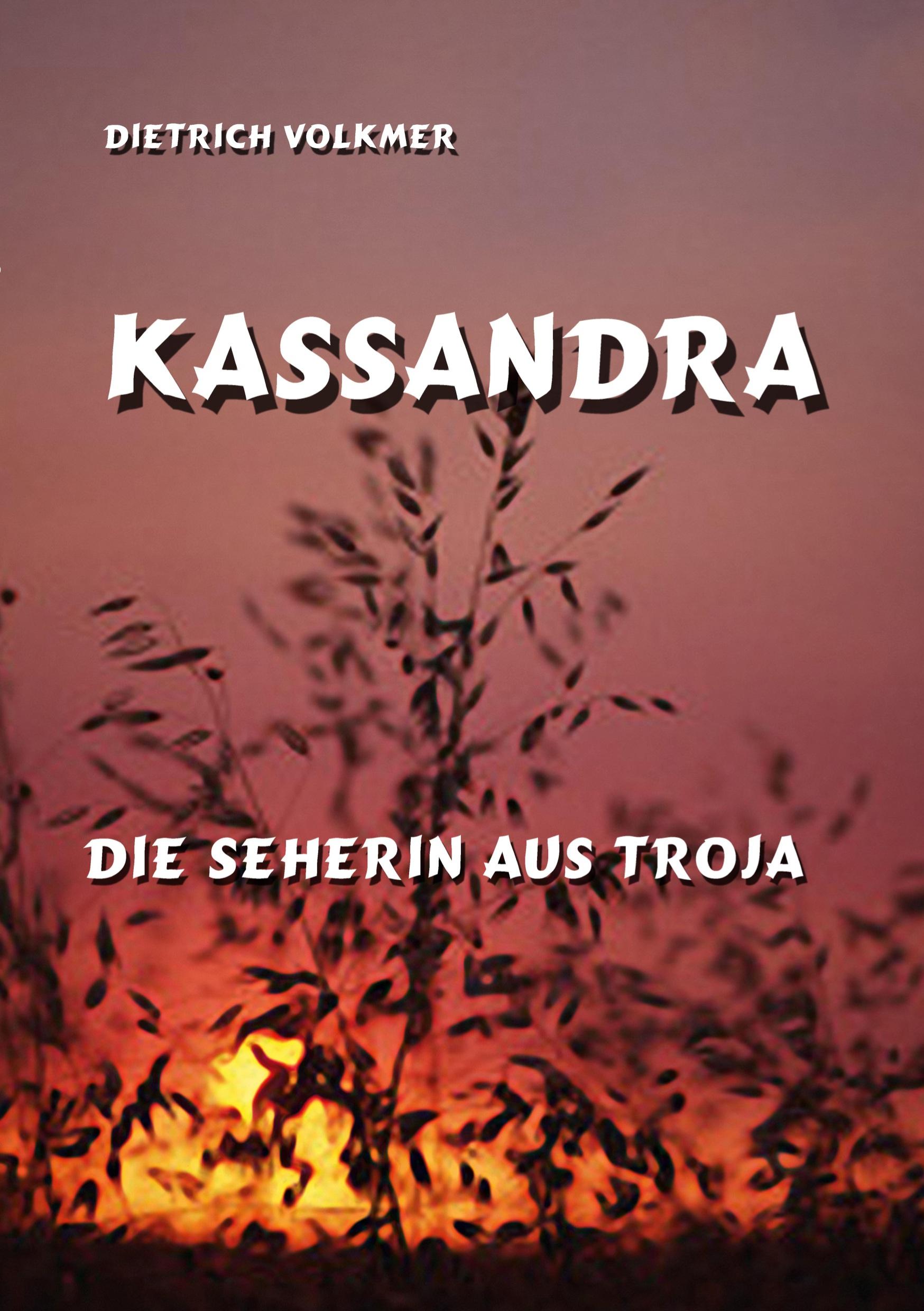 Vorderes Coverbild Kassandra