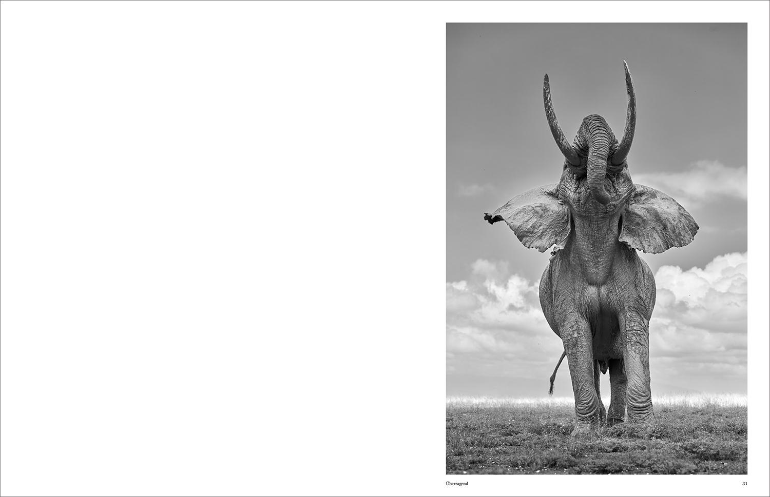 Beispielinhalt (Bild) KUNTH Bildband Wild und frei