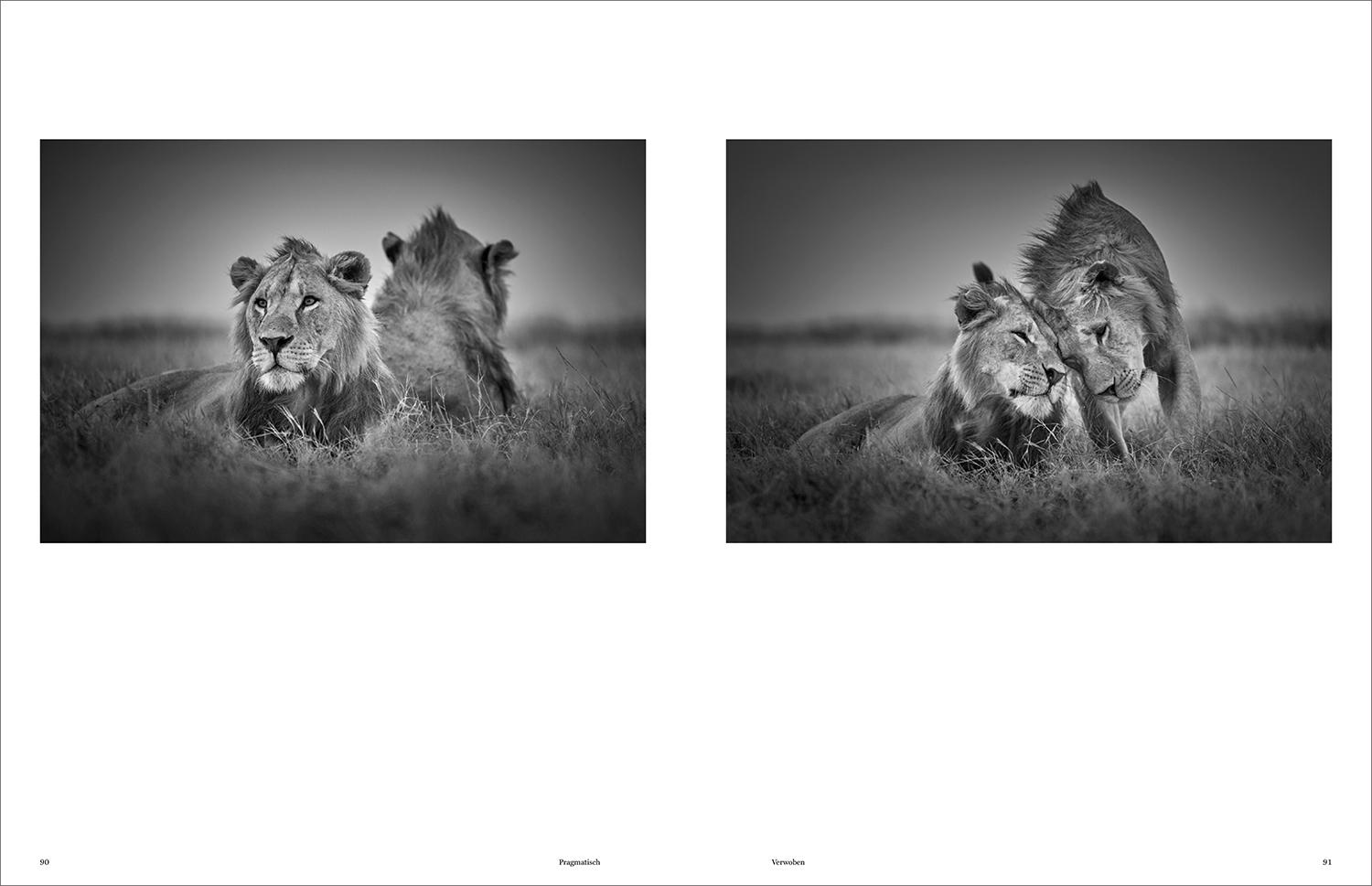 Beispielinhalt (Bild) KUNTH Bildband Wild und frei