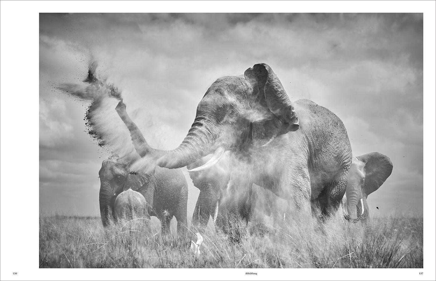 Beispielinhalt (Bild) KUNTH Bildband Wild und frei