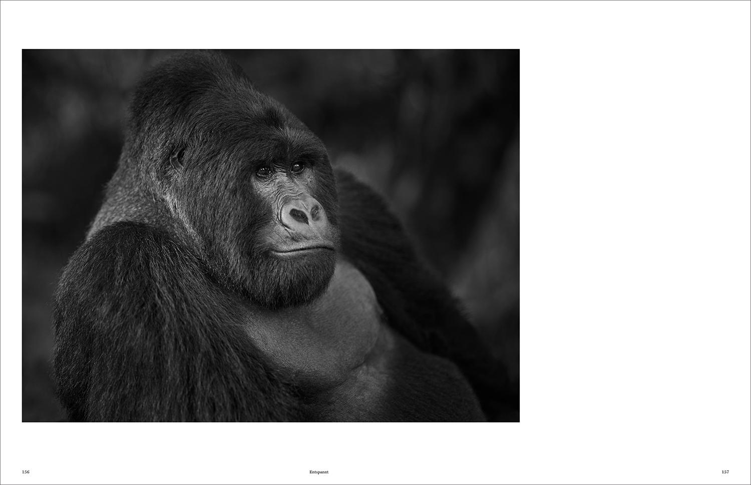 Beispielinhalt (Bild) KUNTH Bildband Wild und frei