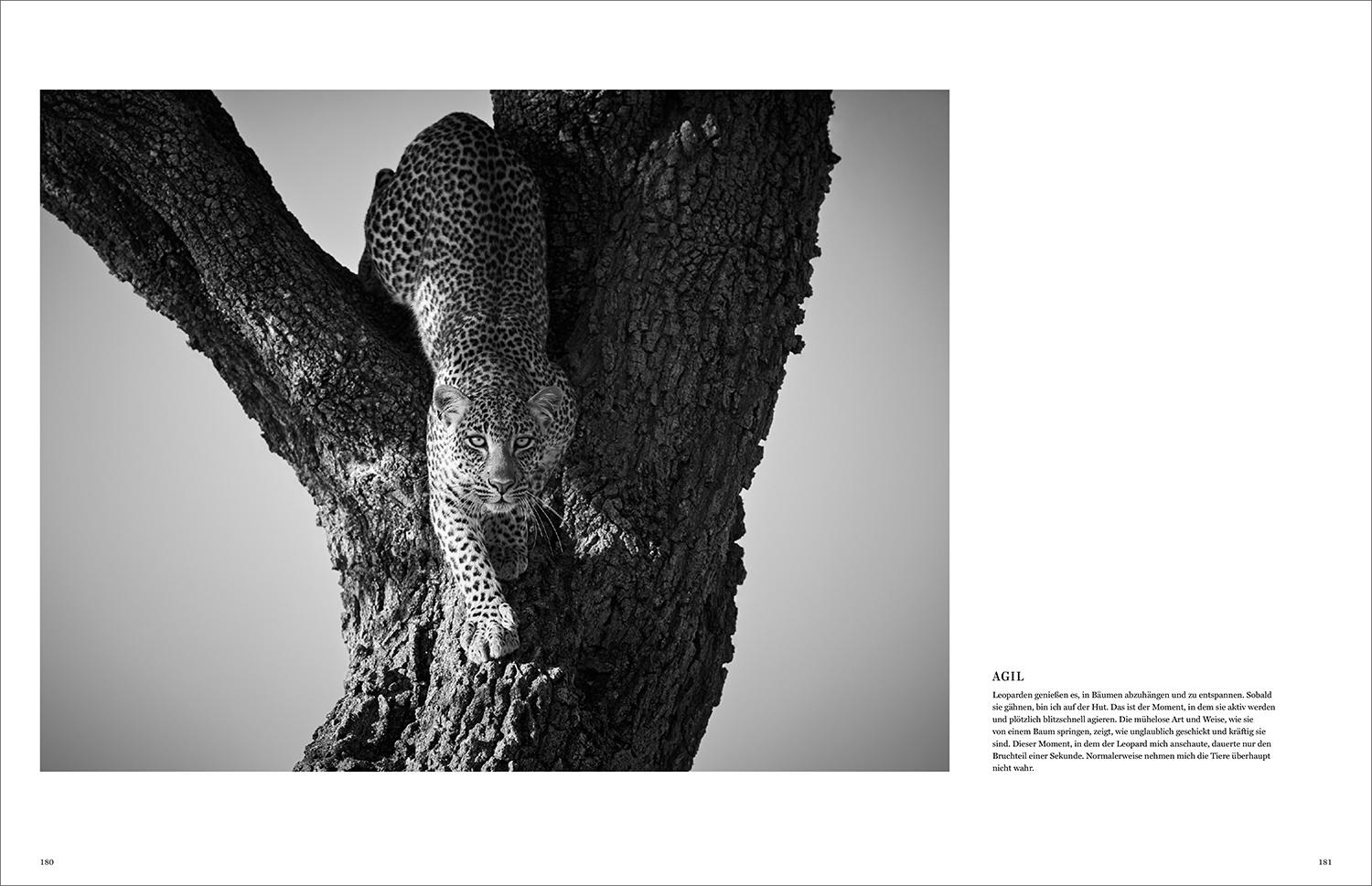 Beispielinhalt (Bild) KUNTH Bildband Wild und frei