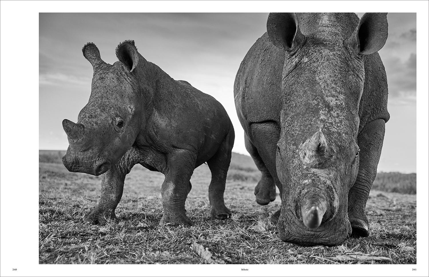 Beispielinhalt (Bild) KUNTH Bildband Wild und frei