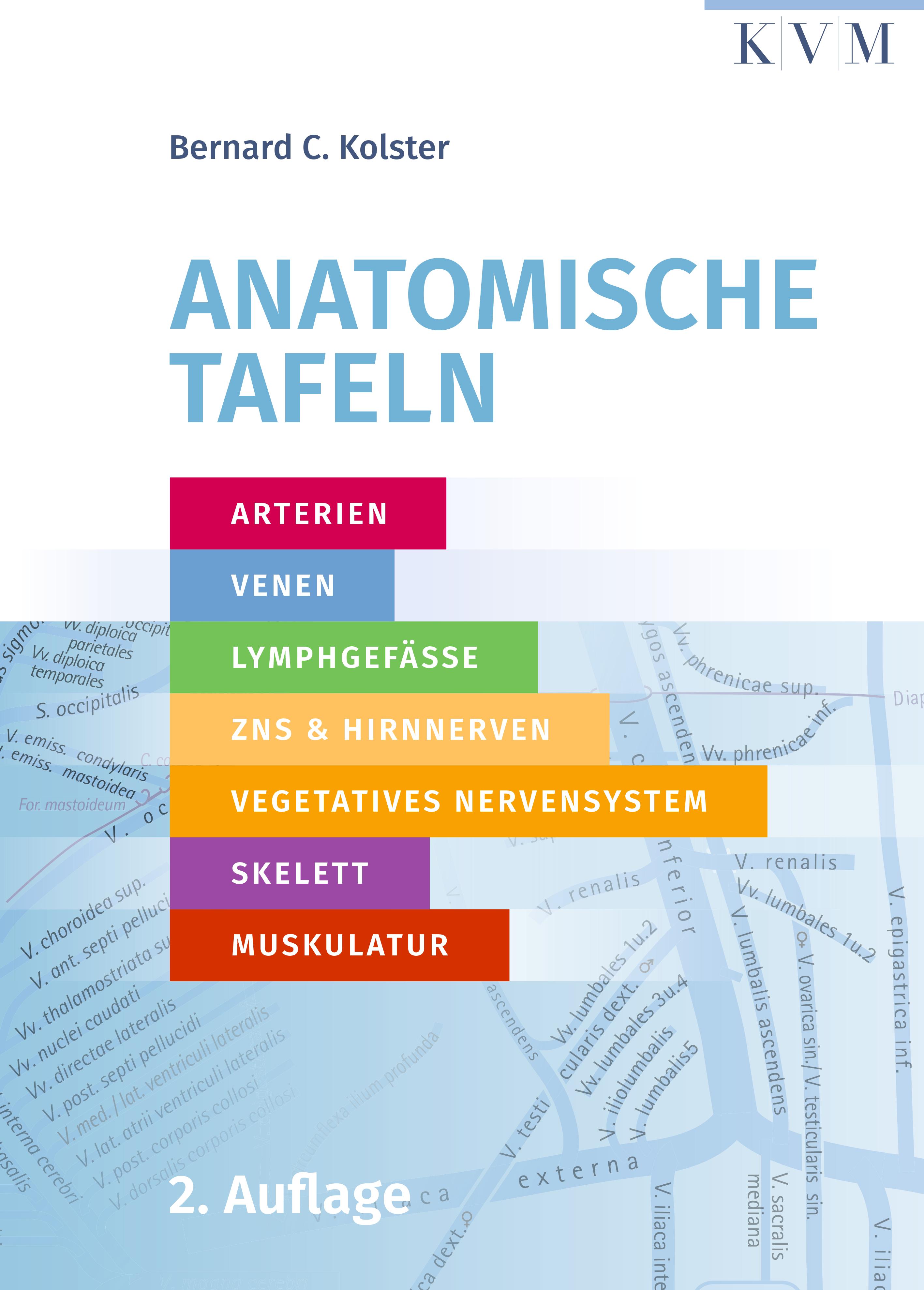 Vorderes Coverbild Anatomische Tafeln