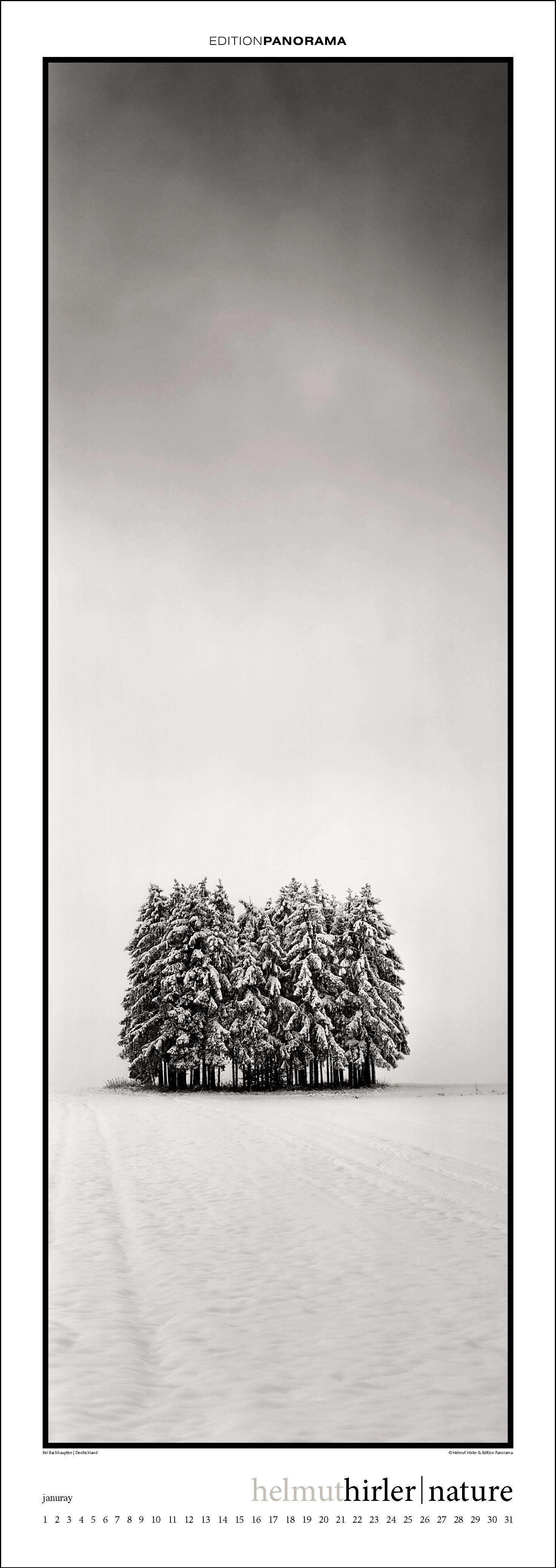 Beispielinhalt (Bild) Nature