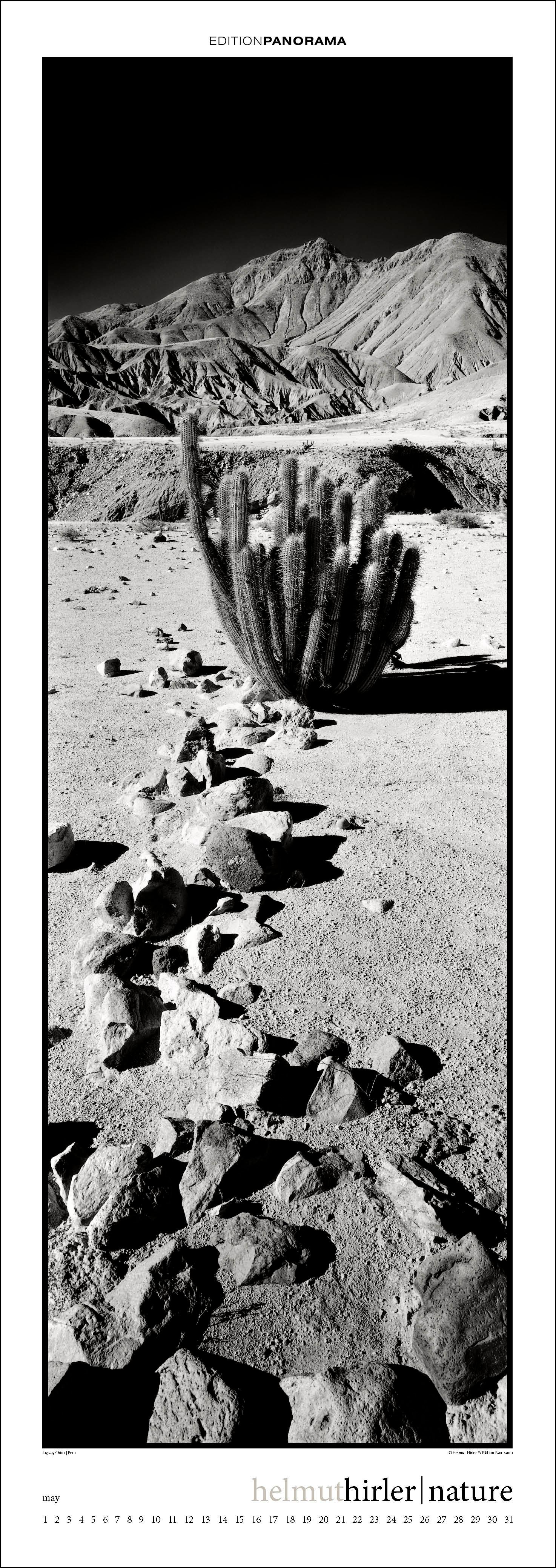 Beispielinhalt (Bild) Nature