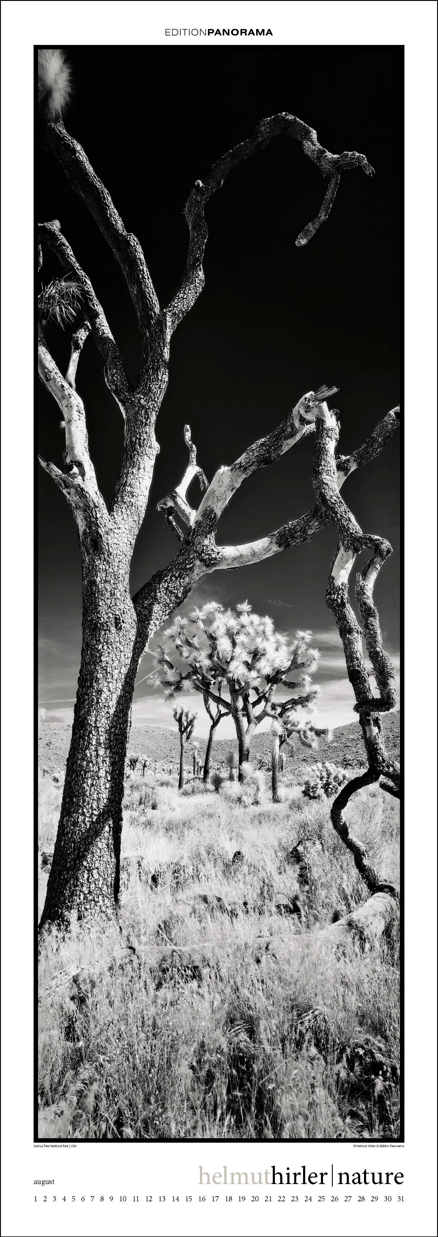 Beispielinhalt (Bild) Nature