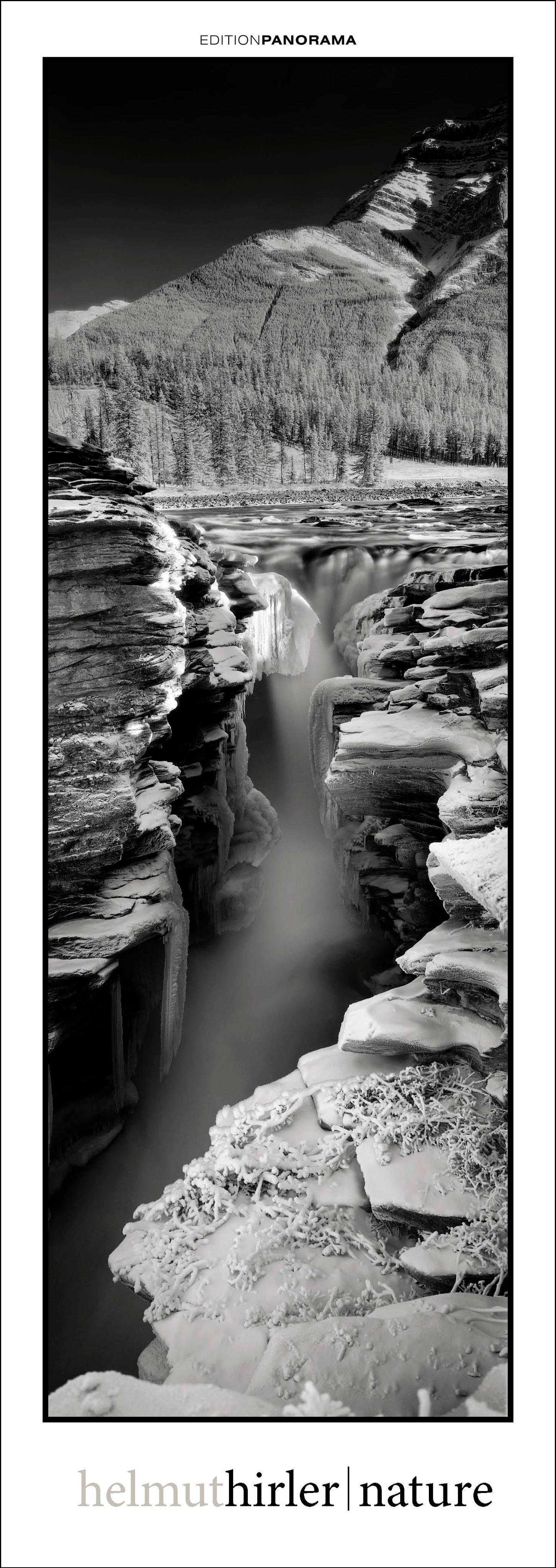 Vorderes Coverbild Nature