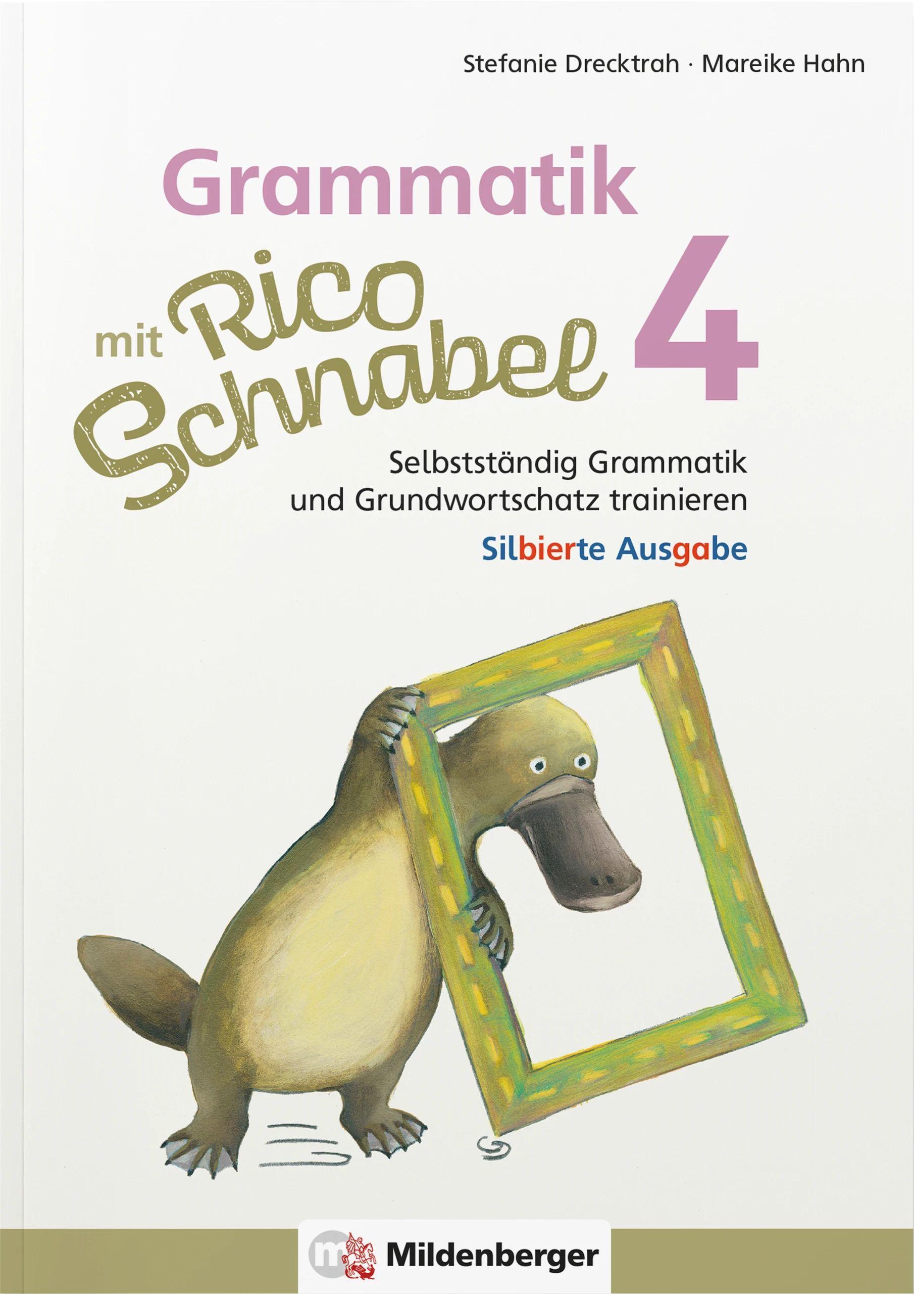 Vorderes Coverbild Grammatik mit Rico Schnabel, Klasse 4 - silbierte Ausgabe