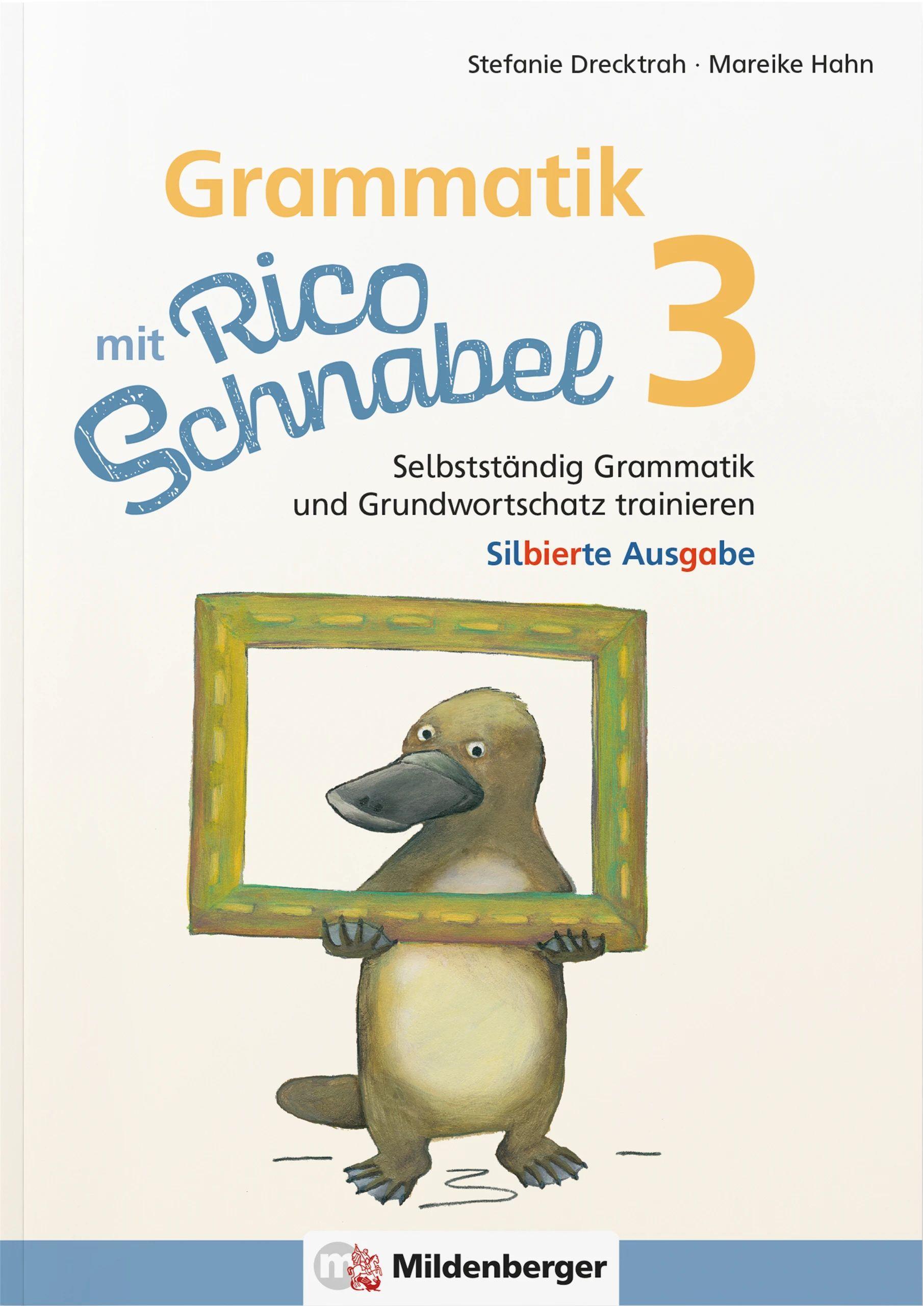 Vorderes Coverbild Grammatik mit Rico Schnabel, Klasse 3 - silbierte Ausgabe
