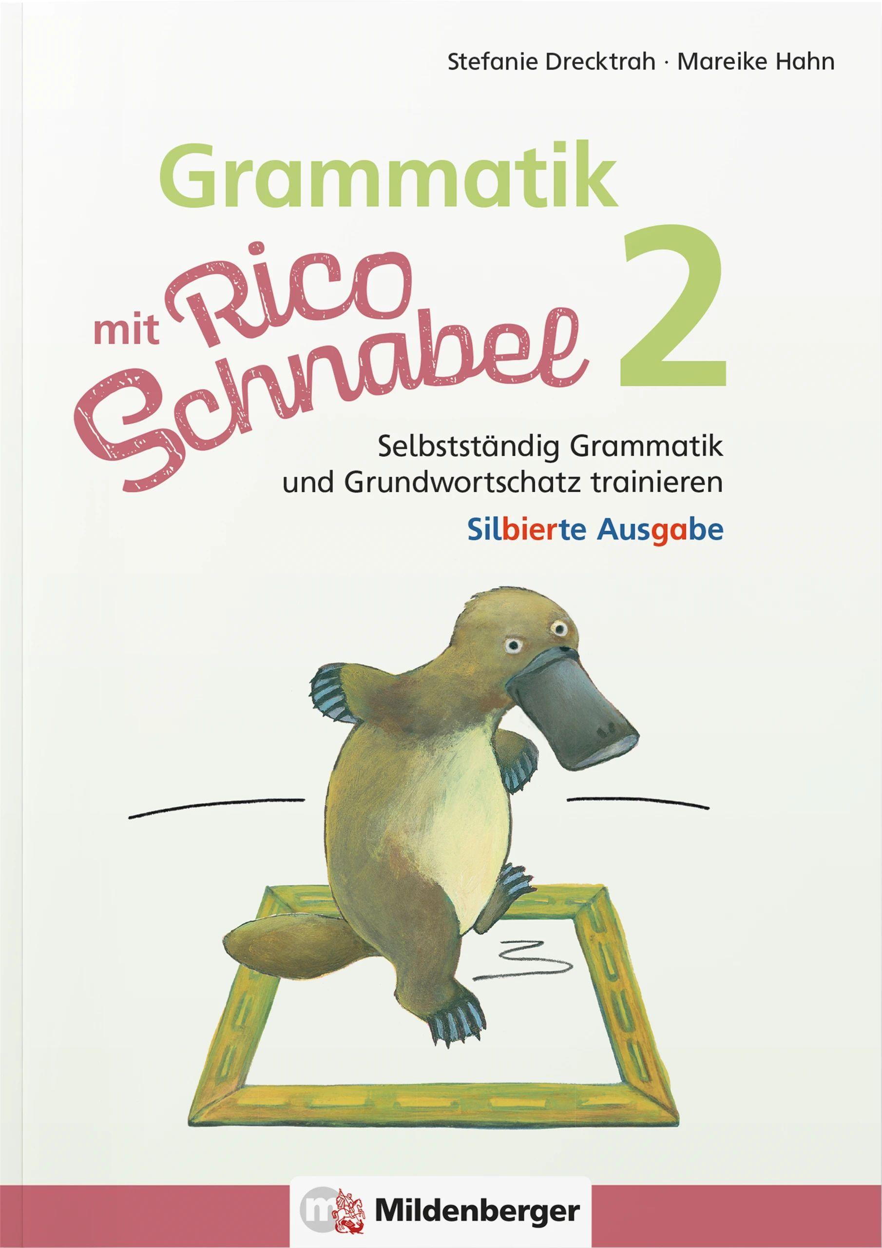 Vorderes Coverbild Grammatik mit Rico Schnabel, Klasse 2 - silbierte Ausgabe